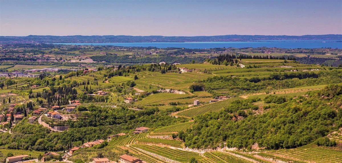 Trekking & Yoga nelle Terre dell’Amarone (VR) Trekking & Yoga nelle Terre dell’Amarone (VR) desktop picture