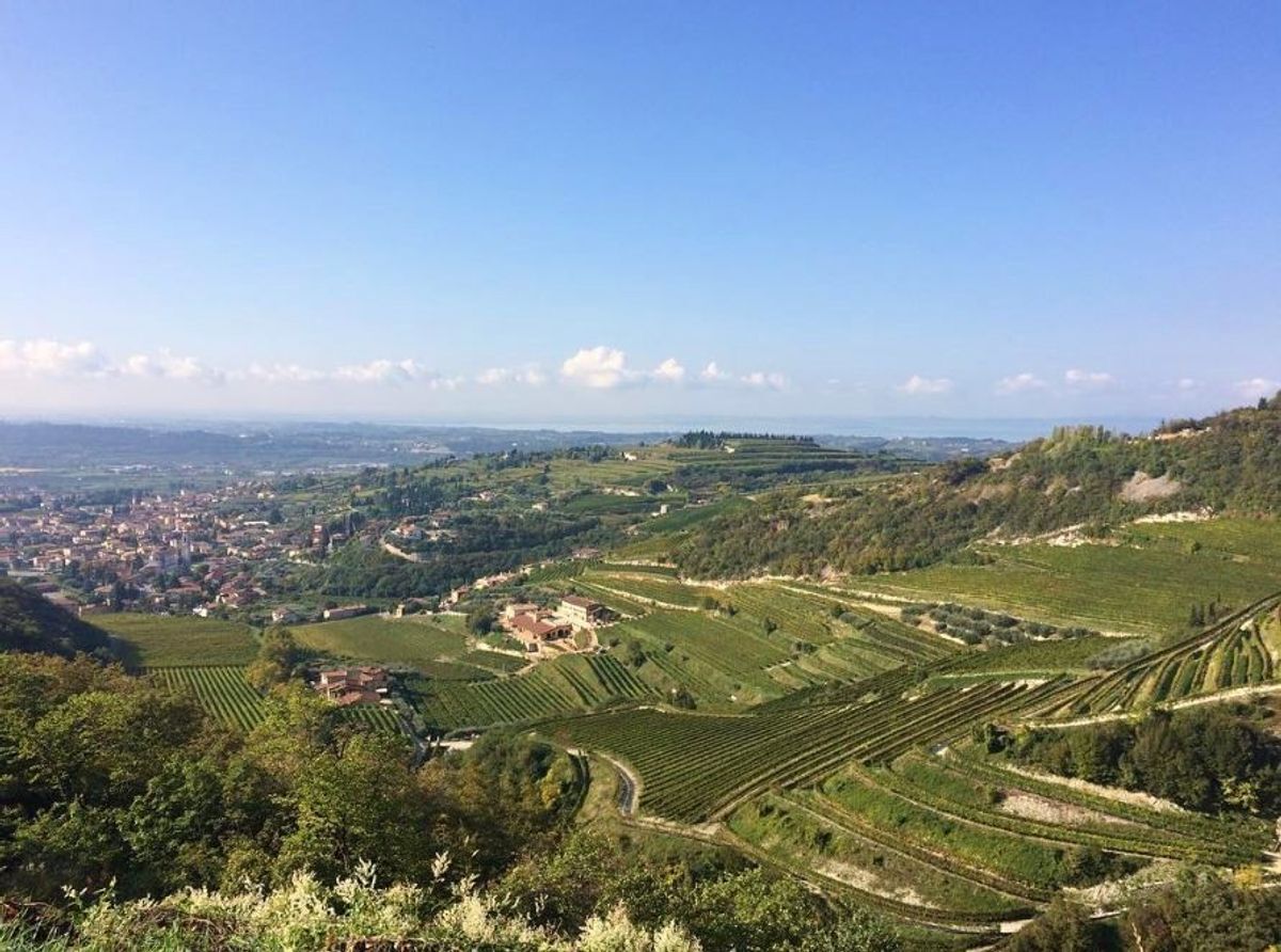 Trekking & Yoga nelle Terre dell’Amarone (VR) Trekking & Yoga nelle Terre dell’Amarone (VR) desktop picture