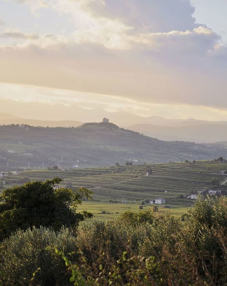 Soave: Al Tramonto nella Fortezza tra i Vigneti Soave: Al Tramonto nella Fortezza tra i Vigneti desktop picture