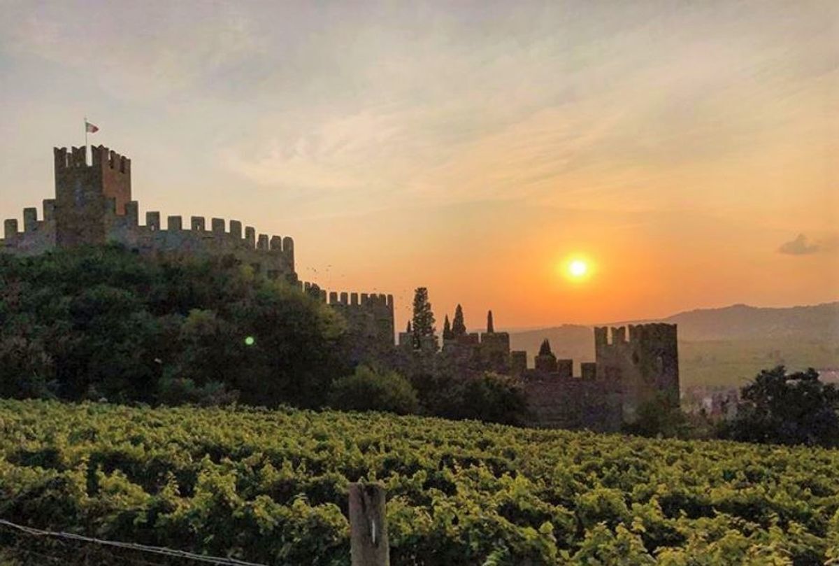 Soave: Al Tramonto nella Fortezza tra i Vigneti Soave: Al Tramonto nella Fortezza tra i Vigneti desktop picture