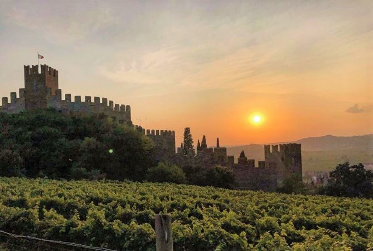 Soave: Al Tramonto nella Fortezza tra i Vigneti desktop picture