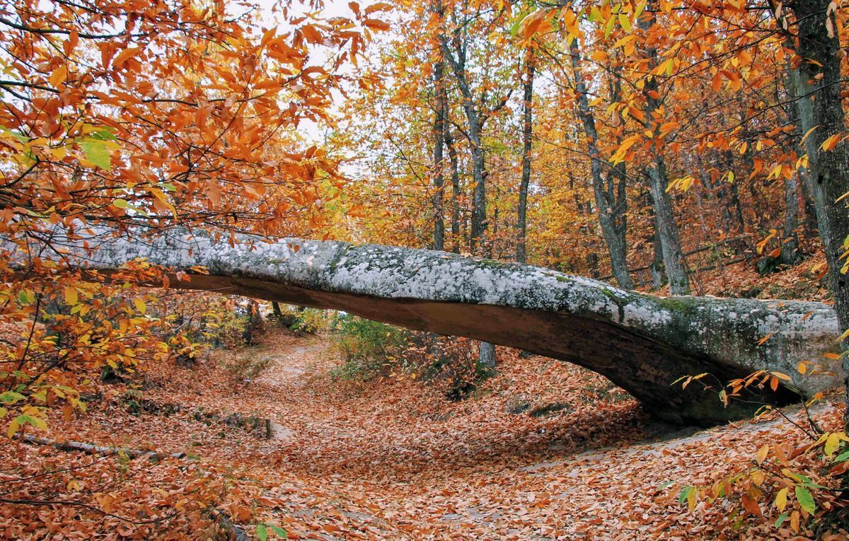 Tra Suggestioni e Leggende al Ponte del Diavolo Tra Suggestioni e Leggende al Ponte del Diavolo desktop picture