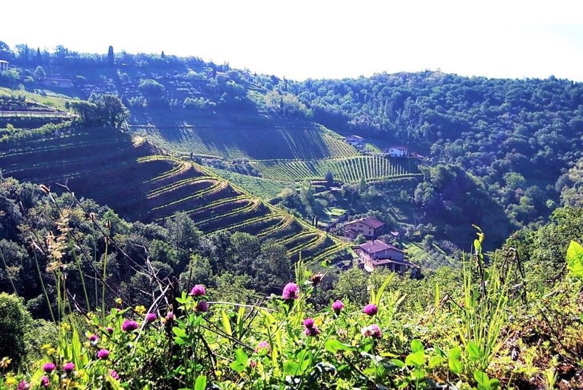 Valli dell’Argon e Tenuta Frizzoni: Viaggio nella Natura Bergamasca Valli dell’Argon e Tenuta Frizzoni: Viaggio nella Natura Bergamasca desktop picture