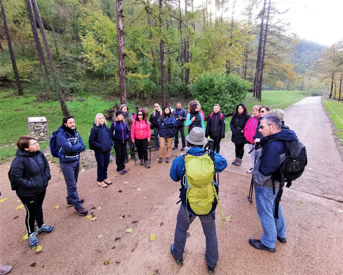 Trekking a picco sul Lago di Garda: il Monte Cas desktop picture