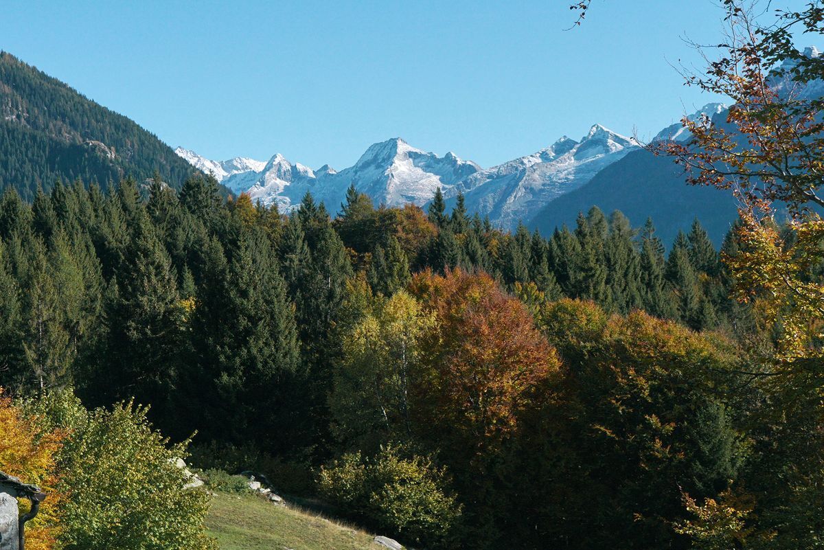 Trekking in Val Antigorio: Foppiano e il Sasso di Gravellona Trekking in Val Antigorio: Foppiano e il Sasso di Gravellona desktop picture