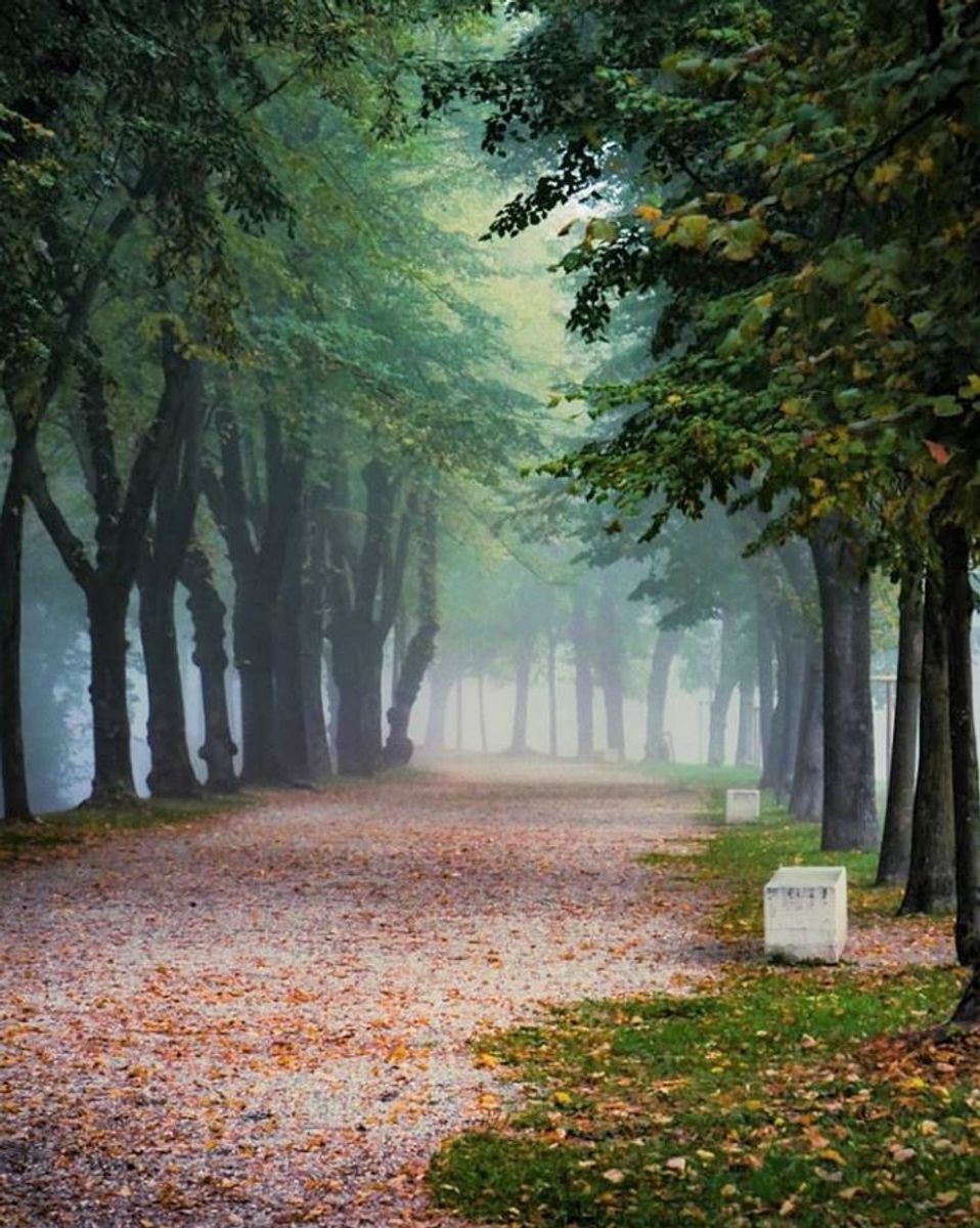 Tour di Noale al Tramonto: Il Borgo e la sua Natura Incontaminata Tour di Noale al Tramonto: Il Borgo e la sua Natura Incontaminata desktop picture