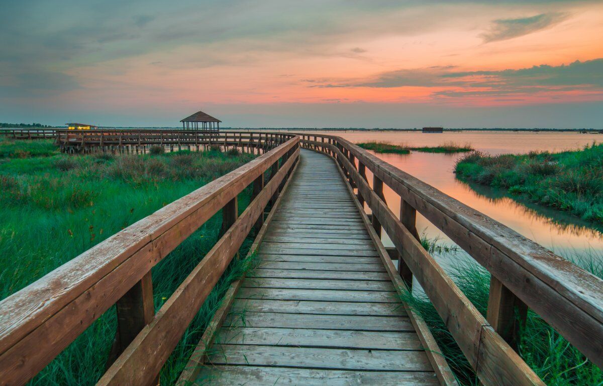 L'Incantesimo del Delta del Po: Il Giardino Litoraneo di Porto Caleri L'Incantesimo del Delta del Po: Il Giardino Litoraneo di Porto Caleri desktop picture