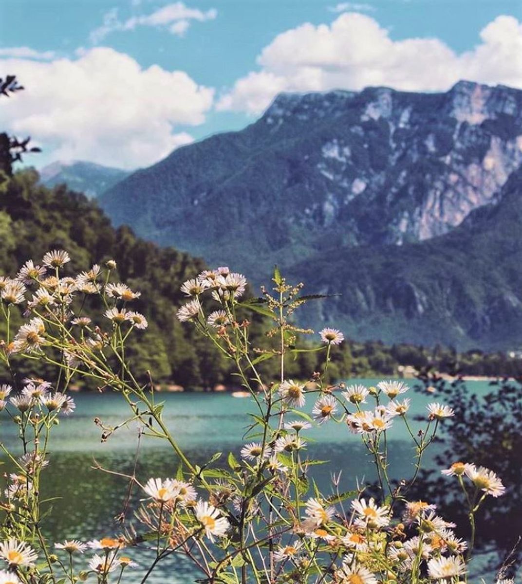 Intorno al Lago di Levico, il Quieto Fiordo della Valsugana (TN) Intorno al Lago di Levico, il Quieto Fiordo della Valsugana (TN) desktop picture