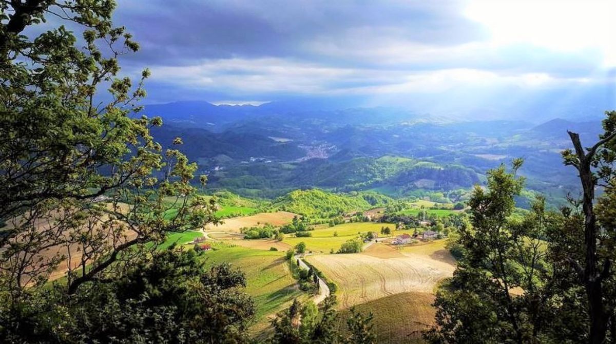 Tra Smerillo e Montefalcone: Nei Boschi a Caccia di Fossili (FM) Tra Smerillo e Montefalcone: Nei Boschi a Caccia di Fossili (FM) desktop picture