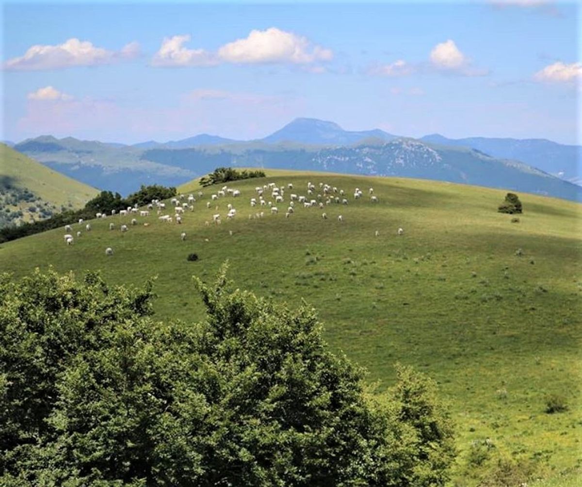 Fantasie d'Autunno nella Misteriosa Valle Scurosa (MC) Fantasie d'Autunno nella Misteriosa Valle Scurosa (MC) desktop picture