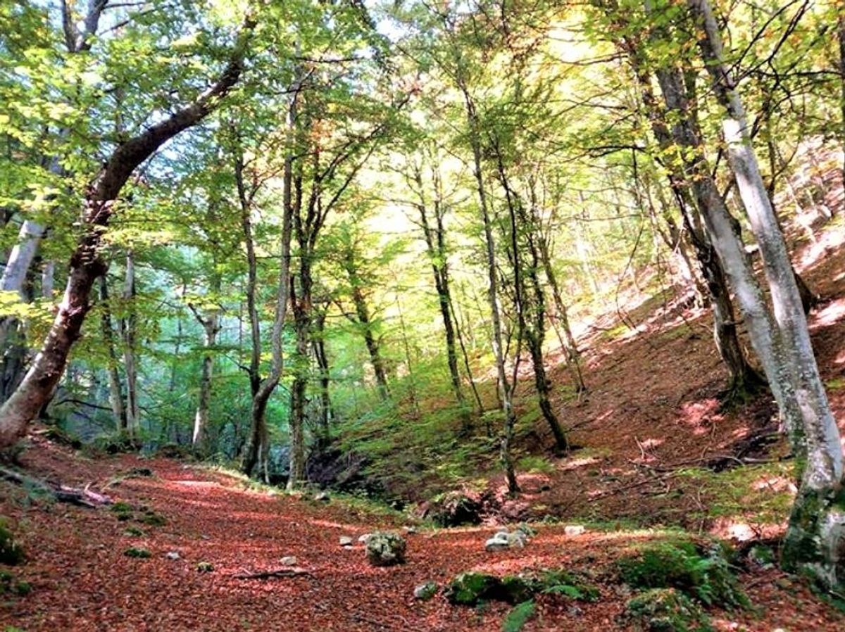 Fantasie d'Autunno nella Misteriosa Valle Scurosa (MC) Fantasie d'Autunno nella Misteriosa Valle Scurosa (MC) desktop picture