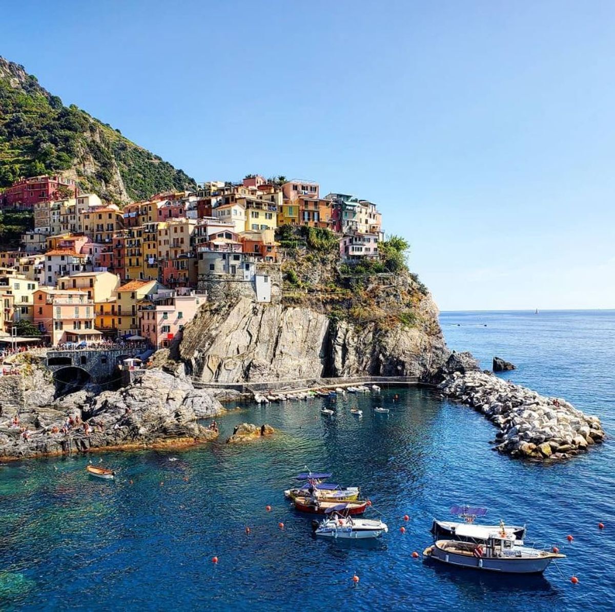 Manarola con Vista: Camminata lungo la Cresta di Costa Corniolo desktop picture