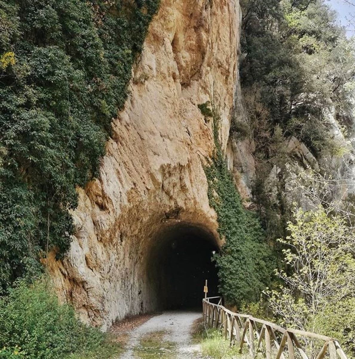 L’Antica Ferrovia Spoleto-Norcia: Il Gottardo Umbro desktop picture