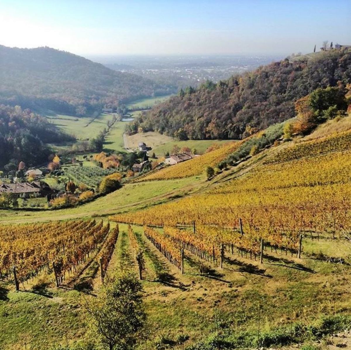 Valli dell’Argon e Tenuta Frizzoni: Viaggio nella Natura Bergamasca Valli dell’Argon e Tenuta Frizzoni: Viaggio nella Natura Bergamasca desktop picture