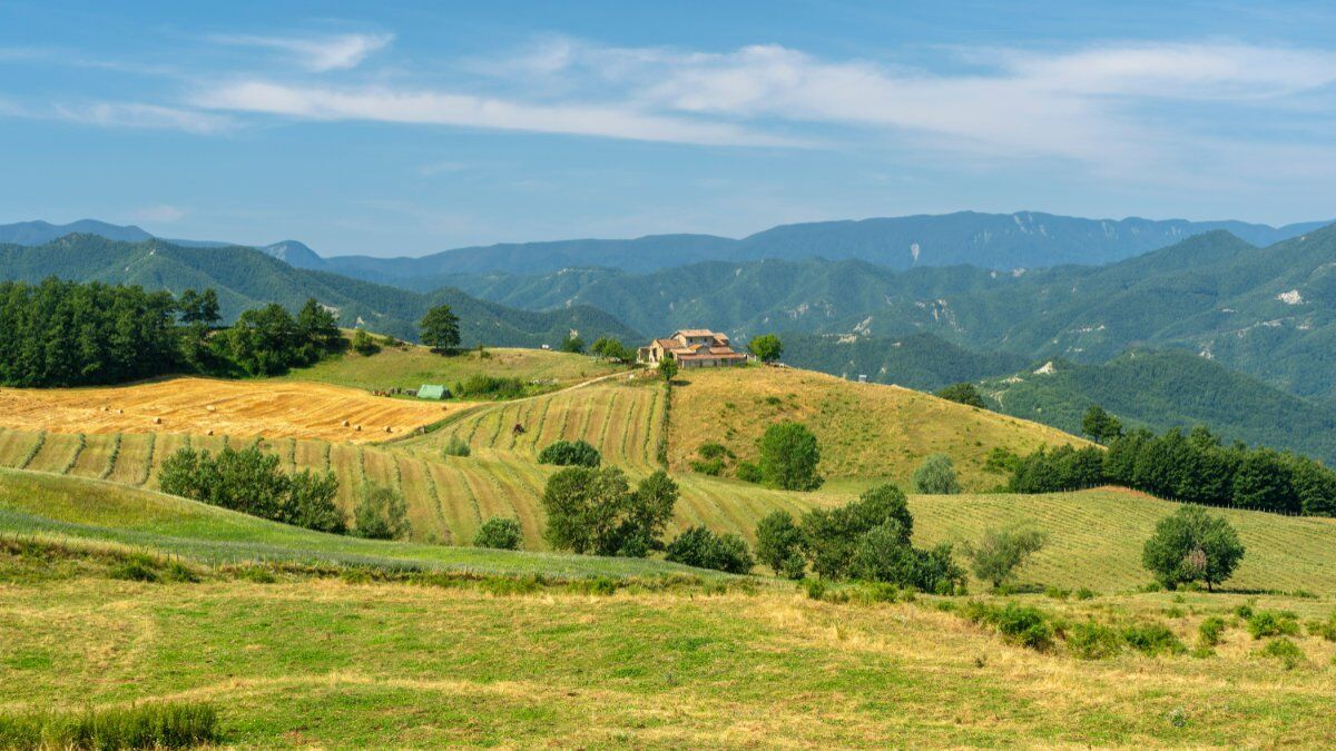 La Via dei Romei: Il Percorso dei Pellegrini nella Valle del Savio La Via dei Romei: Il Percorso dei Pellegrini nella Valle del Savio desktop picture