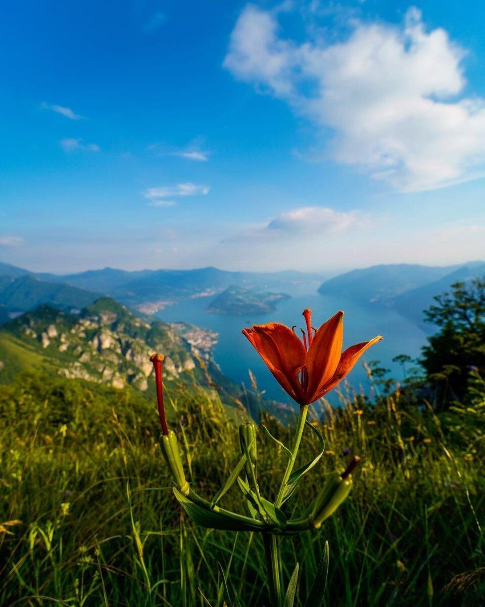 Escursione a Corna Trentapassi, l'inaspettato balcone sull'Iseo desktop picture