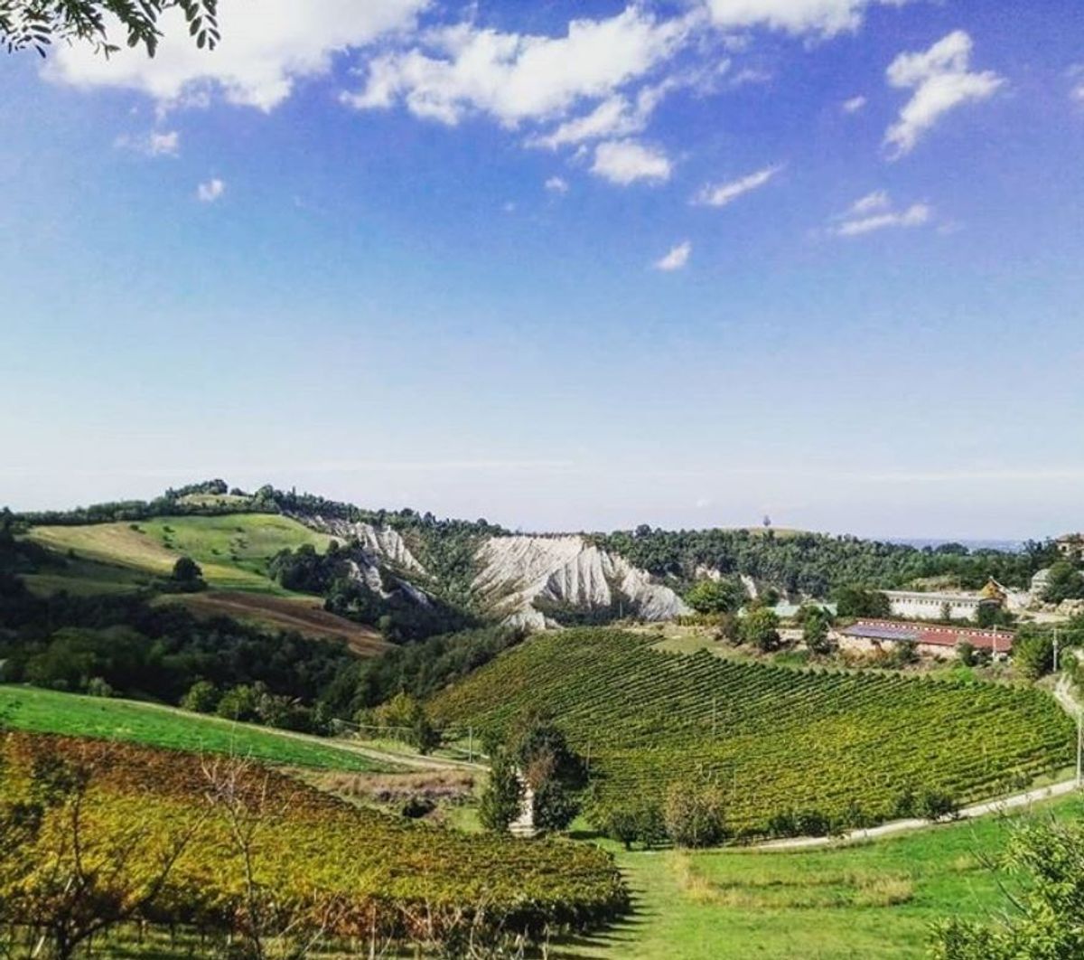 Lungo la Rinomata Via del Gesso degli Artisti - Seconda Parte (BO) Lungo la Rinomata Via del Gesso degli Artisti - Seconda Parte (BO) desktop picture