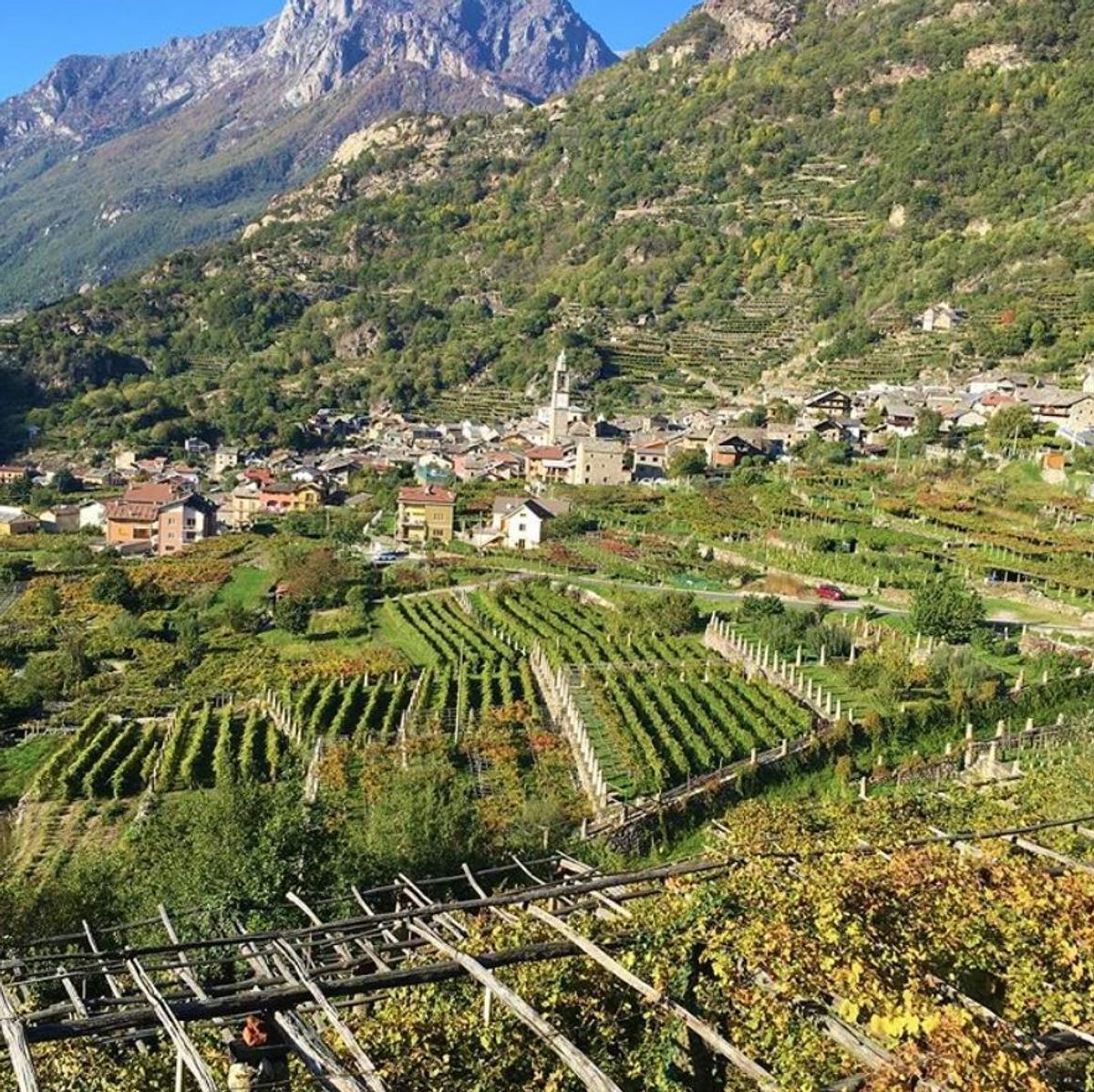 Lungo la Via Francigena, tra Vigneti e Roccaforti nel Canavese desktop picture