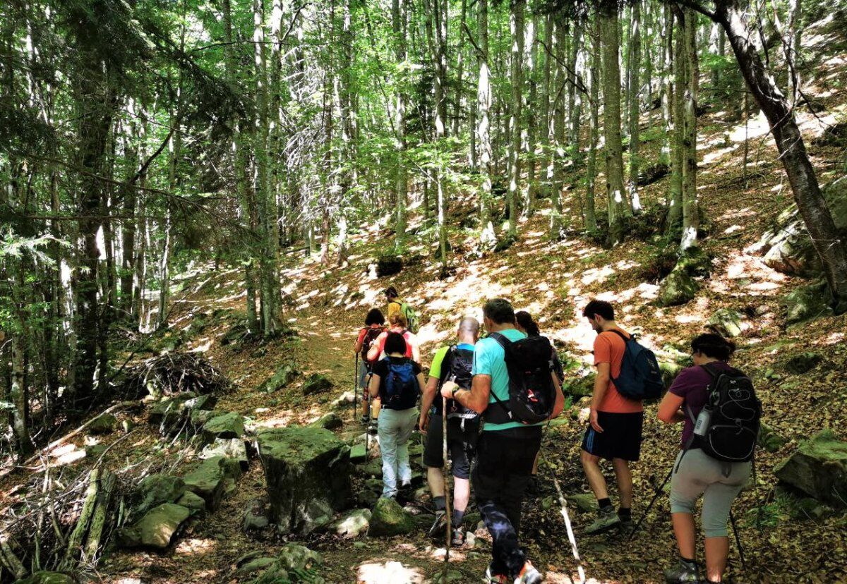 Itinerario inedito alle Cinque Cascate del Rio Valdarno desktop picture