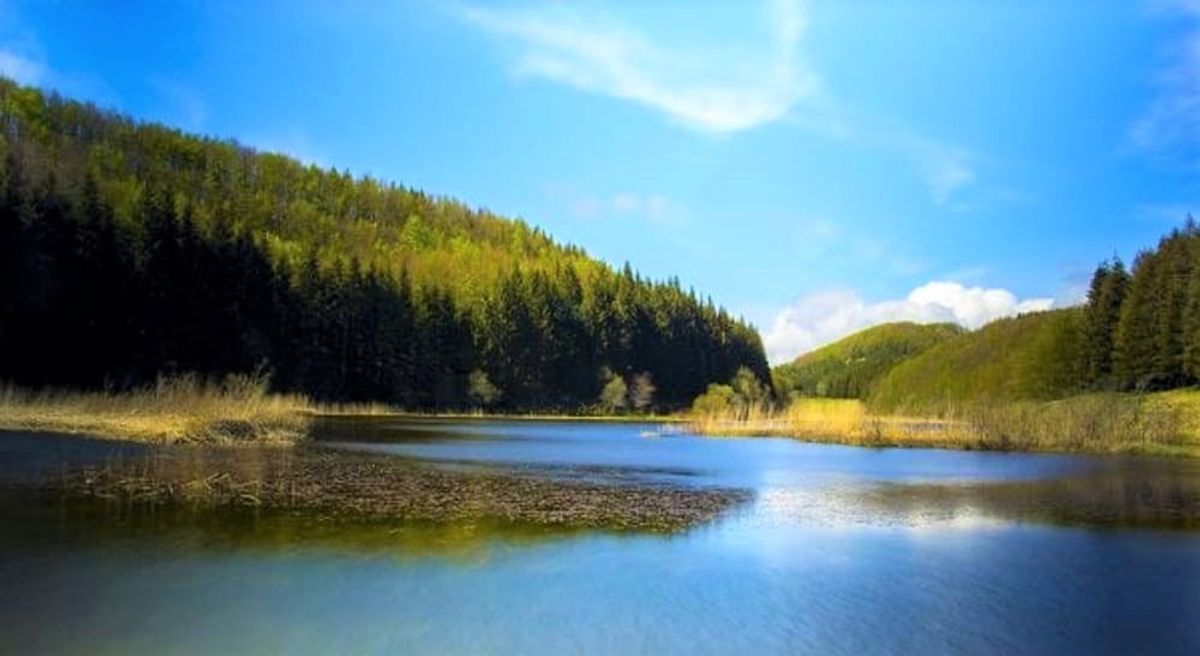 Il Lago di Pratignano: Un Percorso tra Fate e Magia Nera desktop picture