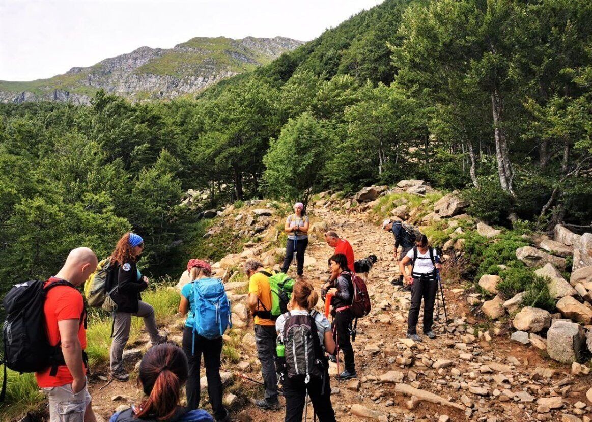 Giro dei Quattro Laghi: Trekking ai Piedi dei Monti Giovo e Rondinaio desktop picture