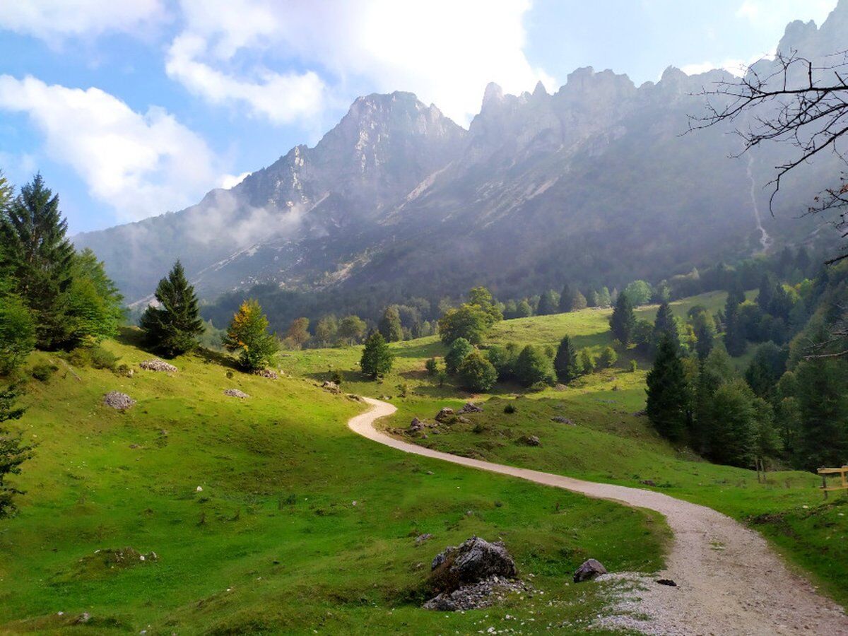 Il Sentiero dei Grandi Alberi - Seconda parte Il Sentiero dei Grandi Alberi - Seconda parte desktop picture