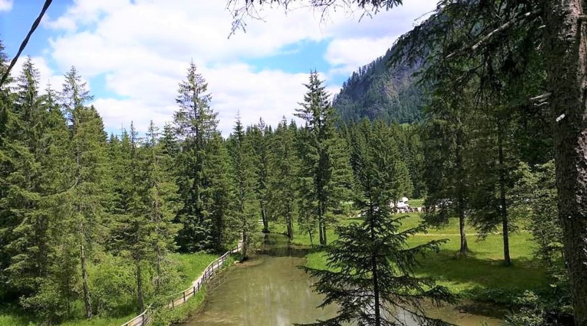 Escursione alle Cascate di Garés: gemme nel cuore delle Dolomiti desktop picture