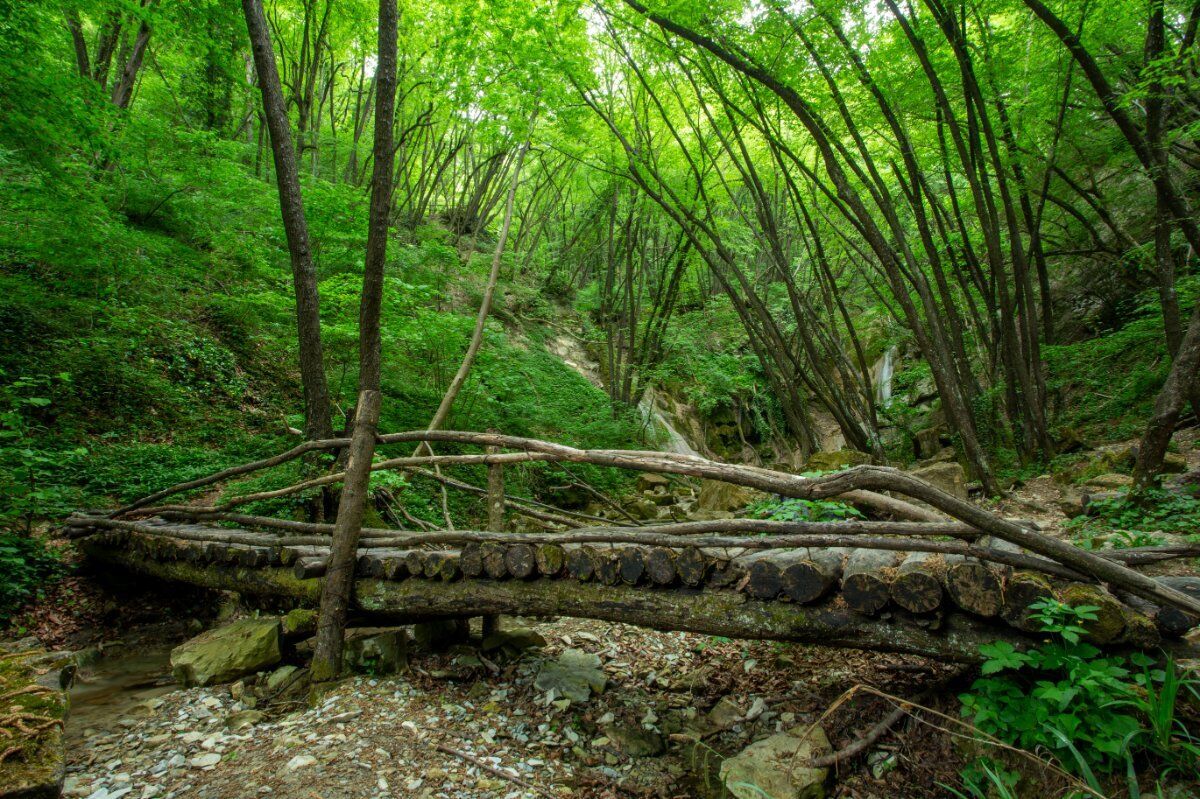 I Sentieri tra le Cascate del Bucamante e il Borgo di Monfestino desktop picture