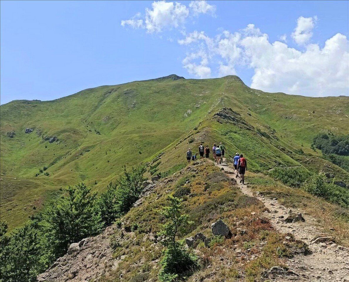 Le Cascate del Doccione: Trekking sensoriale ai piedi del crinale Le Cascate del Doccione: Trekking sensoriale ai piedi del crinale desktop picture