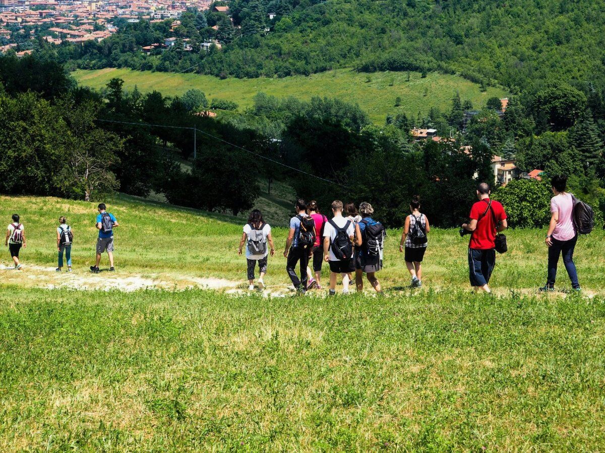 Un Percorso verso il Cielo: il Santuario di San Luca desktop picture