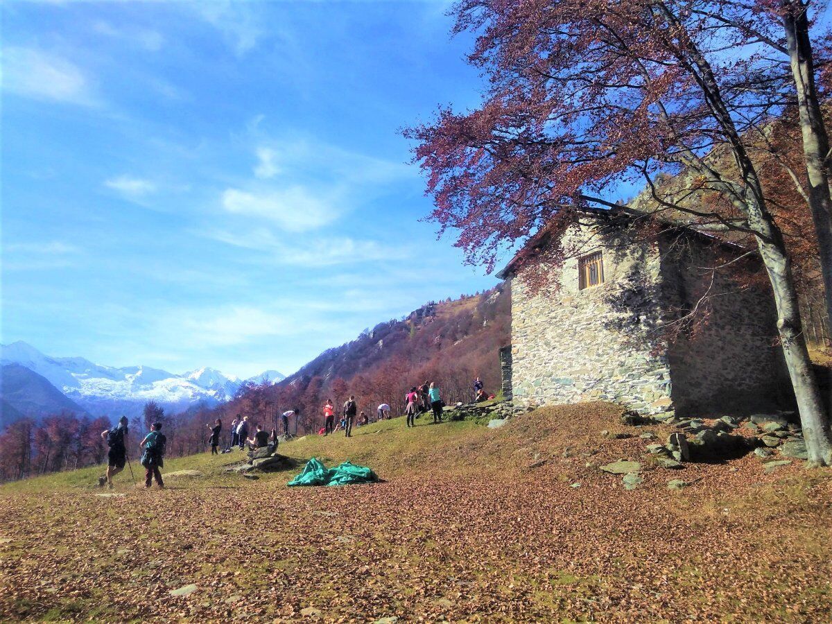 Passeggiata tra Boschi e Alpeggi di Pian Fè e Pian Sarpeis desktop picture