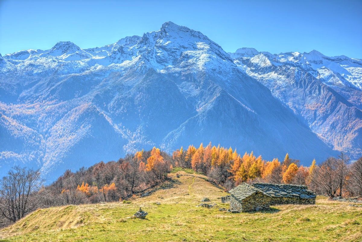 Passeggiata tra Boschi e Alpeggi di Pian Fè e Pian Sarpeis Passeggiata tra Boschi e Alpeggi di Pian Fè e Pian Sarpeis desktop picture