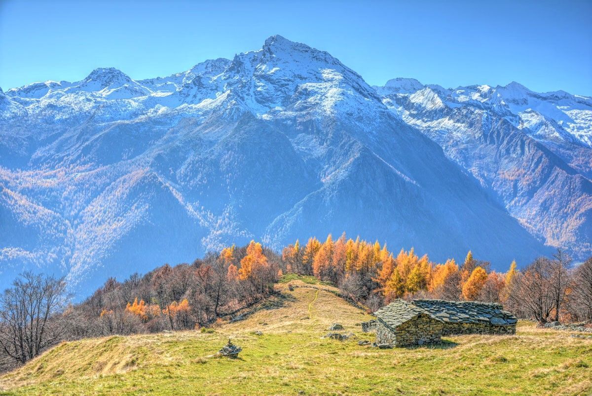 Passeggiata tra Boschi e Alpeggi di Pian Fè e Pian Sarpeis desktop picture