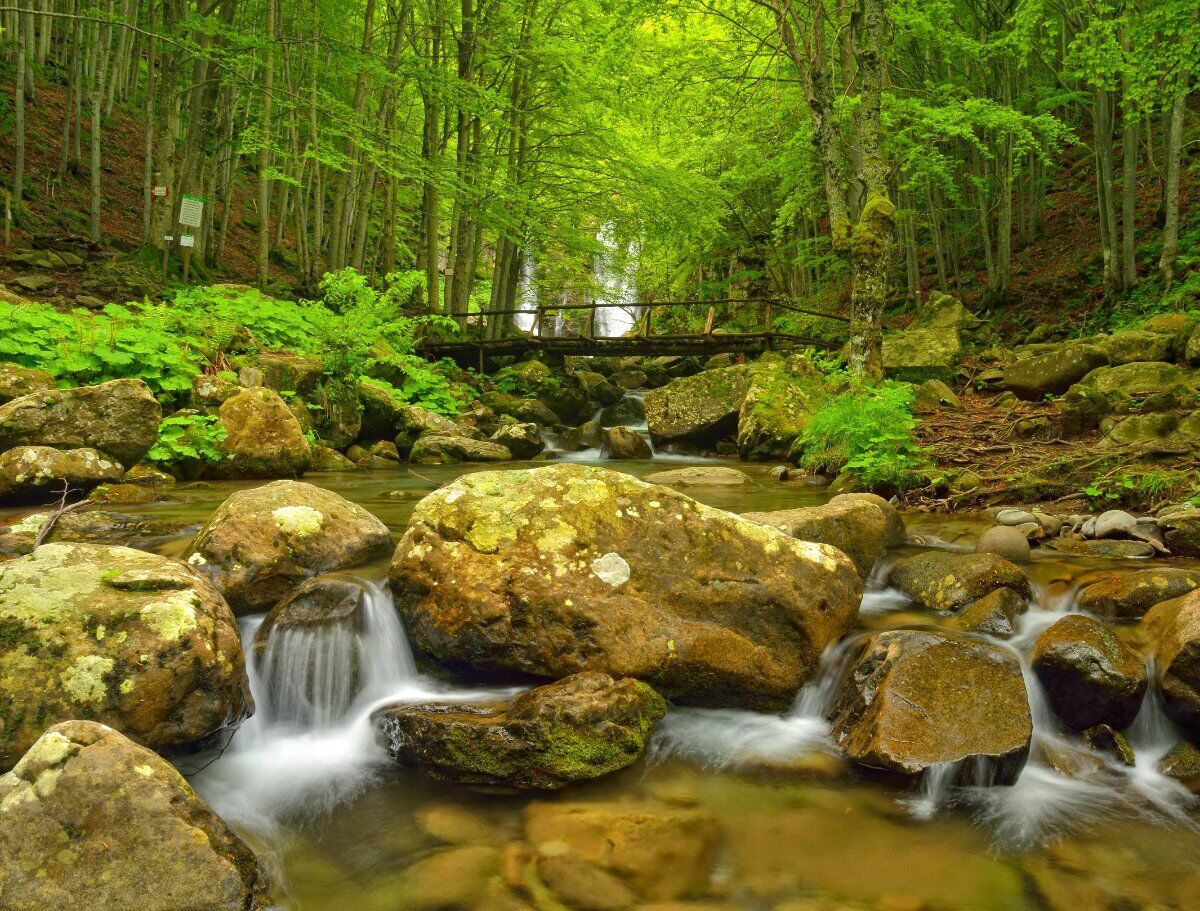 Trekking nel cuore degli Appennini: le Cascate del Dardagna desktop picture