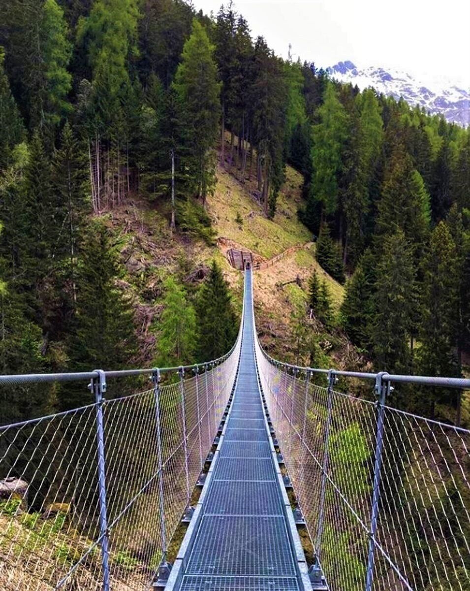 Trekking al Ponte Tibetano in Val di Rabbi: Sospesi a 60 metri nella Valle Incantata desktop picture