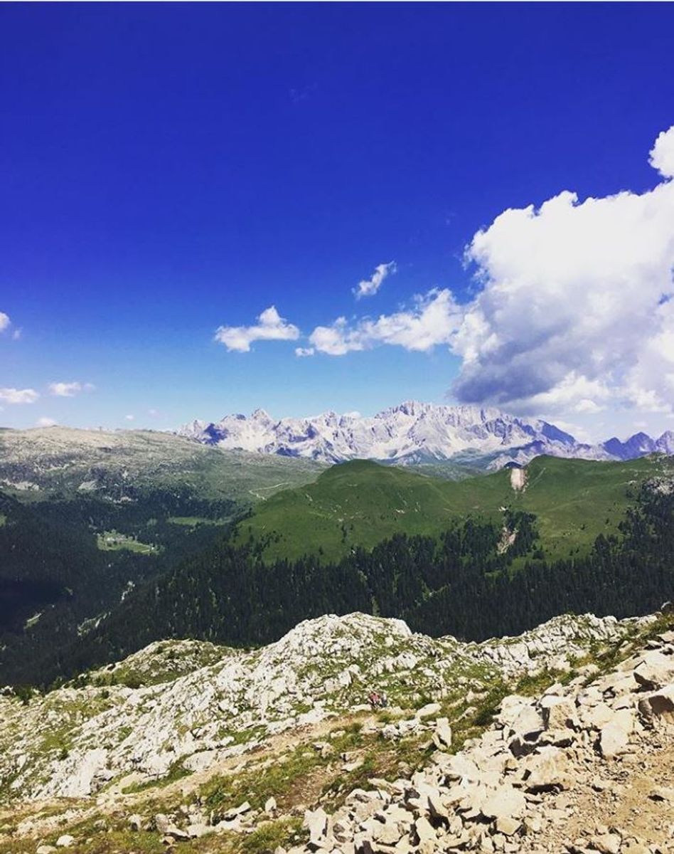 Un balcone sulle pale di San Martino: suggestiva escursione tra il cimon della Pala, il Mulaz e il Travignolo Un balcone sulle pale di San Martino: suggestiva escursione tra il cimon della Pala, il Mulaz e il Travignolo desktop picture