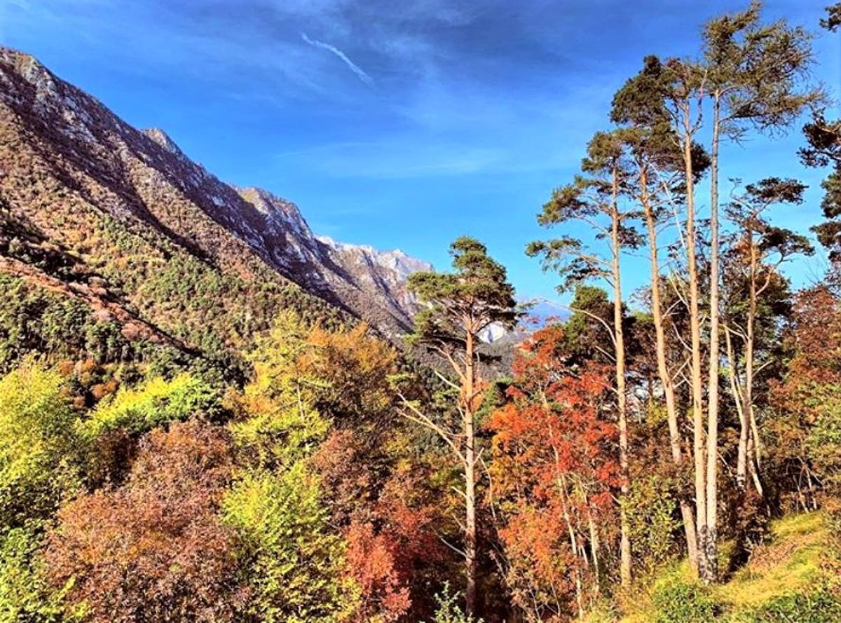 Punta Larici, lo Sperone di Roccia a Picco sul Garda Punta Larici, lo Sperone di Roccia a Picco sul Garda desktop picture