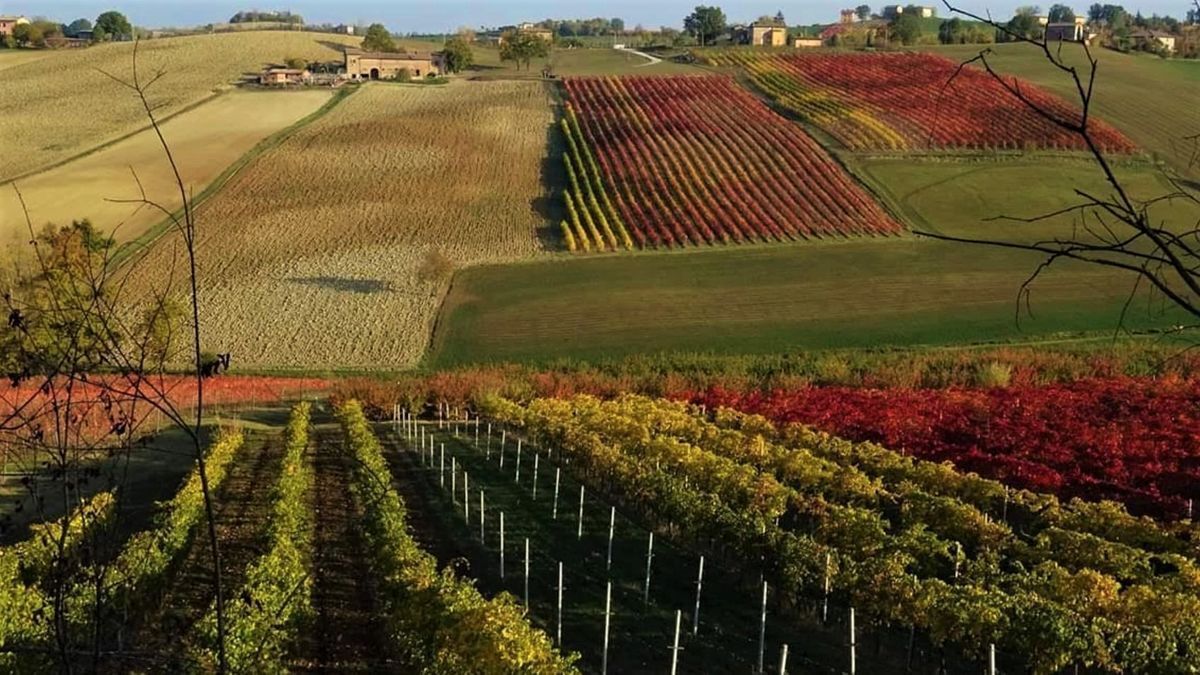 Passeggiata Serale a Castelvetro, il Borgo tra i Colli del Grasparossa Passeggiata Serale a Castelvetro, il Borgo tra i Colli del Grasparossa desktop picture