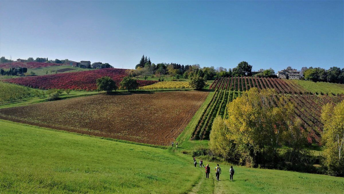 Passeggiata Serale a Castelvetro, il Borgo tra i Colli del Grasparossa Passeggiata Serale a Castelvetro, il Borgo tra i Colli del Grasparossa desktop picture