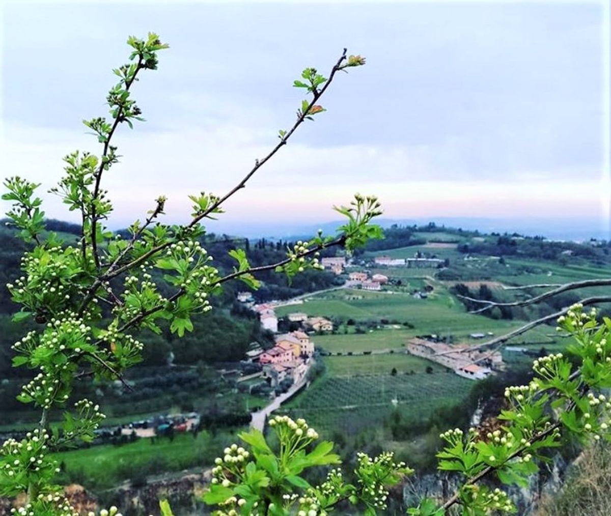 In Val Sorda: Il Bunker Vista Garda sul Monte Moscal In Val Sorda: Il Bunker Vista Garda sul Monte Moscal desktop picture