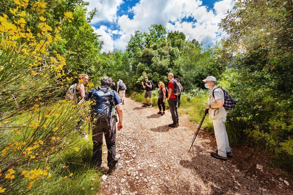 Escursione tra le Lame Rosse: Il Canyon delle Marche Escursione tra le Lame Rosse: Il Canyon delle Marche desktop picture