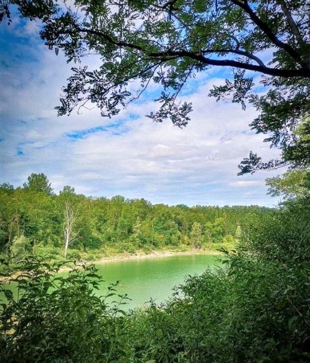 Il Parco degli Aironi, l’Oasi Verde a Due Passi da Varese desktop picture