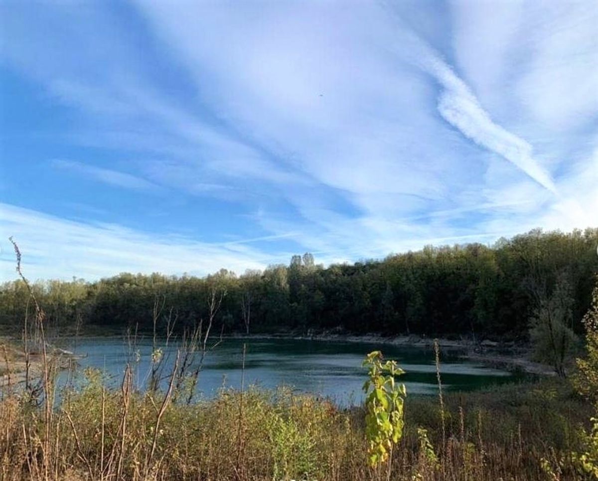 Il Parco degli Aironi, l’Oasi Verde a Due Passi da Varese desktop picture