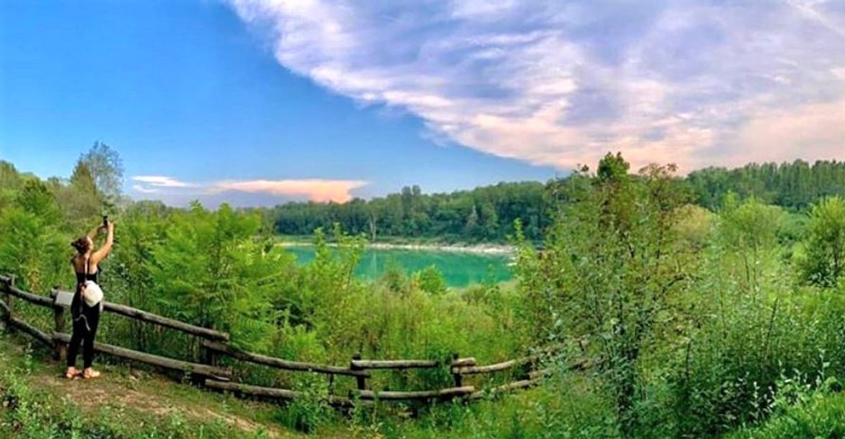 Il Parco degli Aironi, l’Oasi Verde a Due Passi da Varese desktop picture