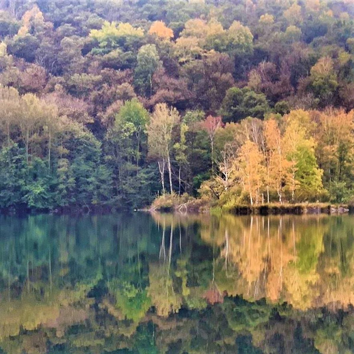 I 5 Laghi D’Ivrea: Lago Nero e Lago Campagna - SECONDA PARTE desktop picture