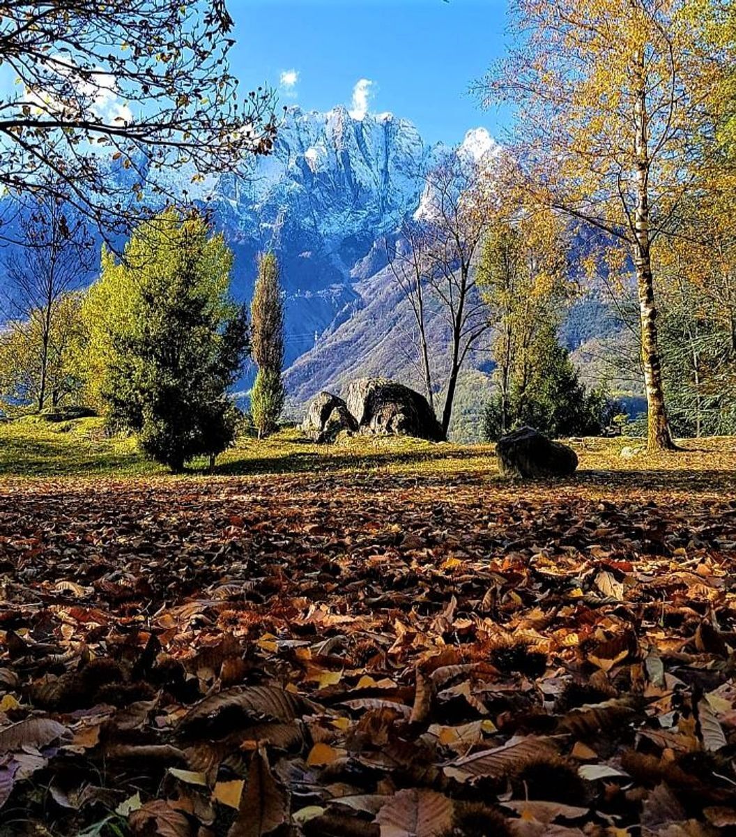 Capo di Ponte e Parco di Naquane: l’Arte rupestre della Valle Camonica desktop picture