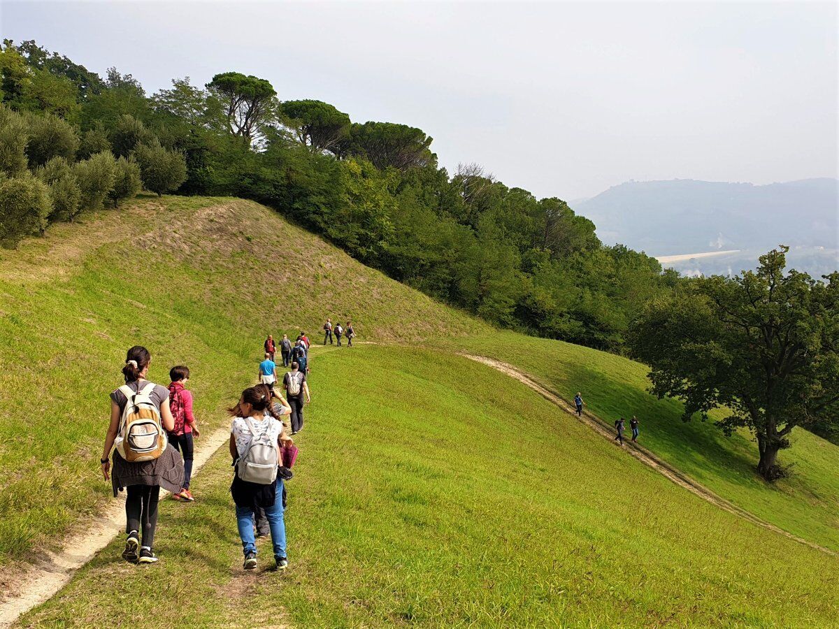 Trekking a Brisighella, la Perla Medievale della Vena del Gesso Trekking a Brisighella, la Perla Medievale della Vena del Gesso desktop picture