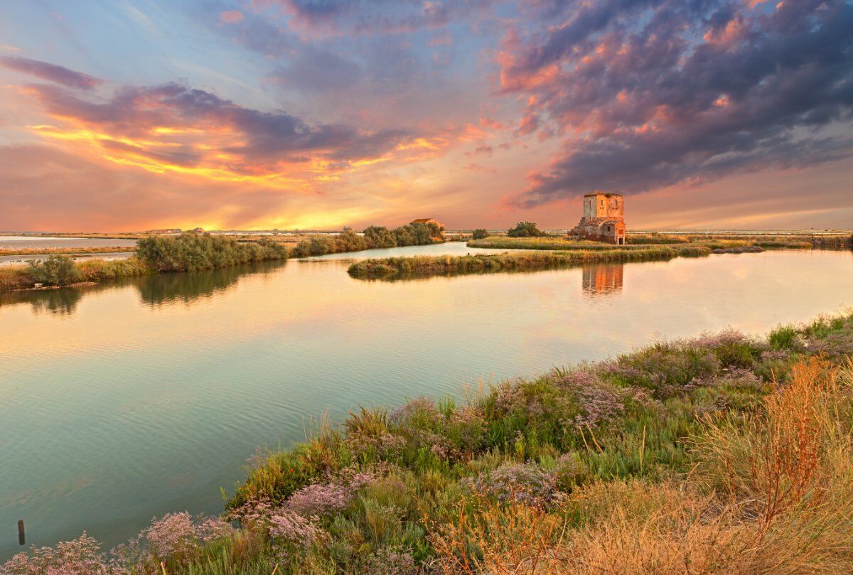 Tutti i Colori delle Lagune: Passeggiata al Parco Del Delta del Po Tutti i Colori delle Lagune: Passeggiata al Parco Del Delta del Po desktop picture