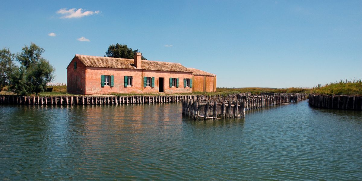 Tutti i Colori delle Lagune: Passeggiata al Parco Del Delta del Po desktop picture