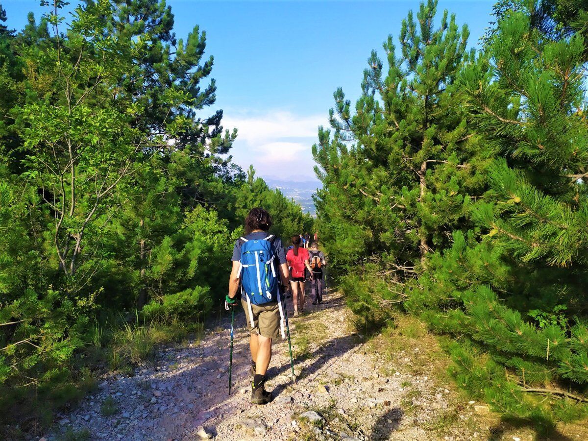 Trekking Panoramico sul Monte Pastello, Lessinia Trekking Panoramico sul Monte Pastello, Lessinia desktop picture